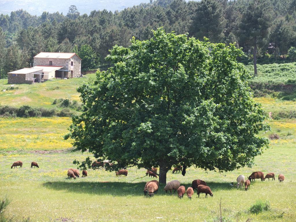 セイア Quinta Da Cerdeiraヴィラ エクステリア 写真