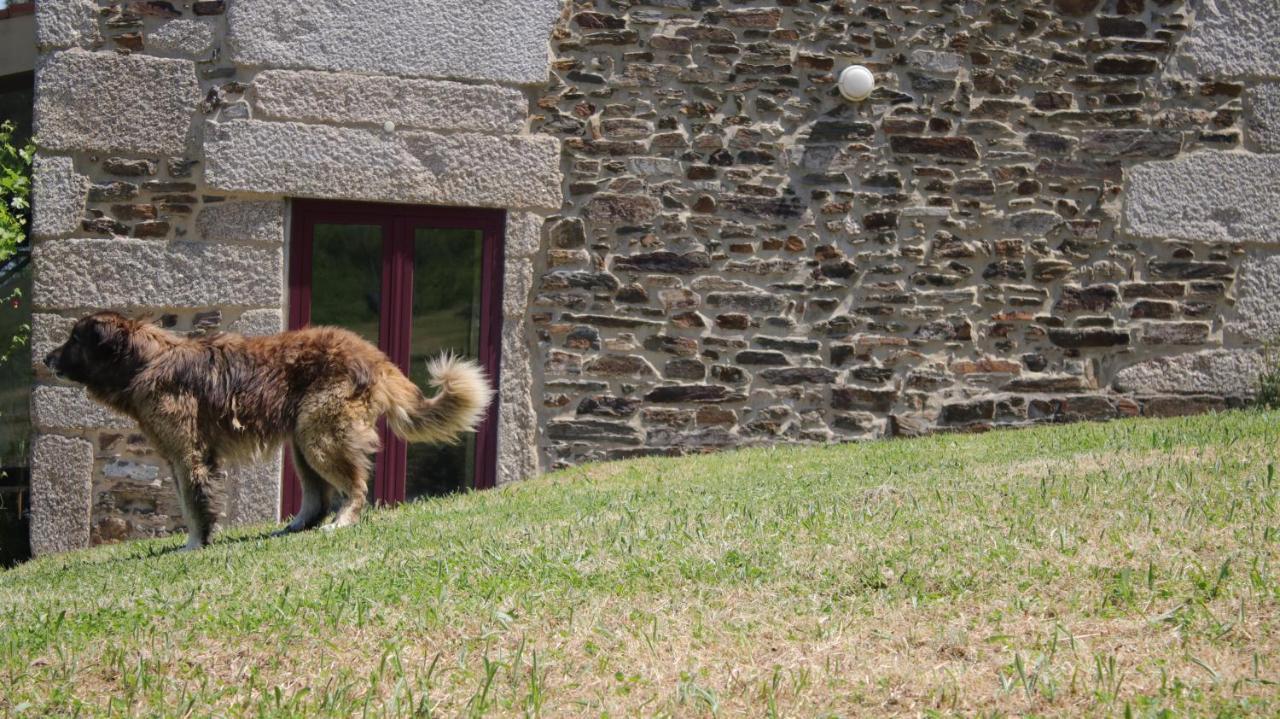 セイア Quinta Da Cerdeiraヴィラ エクステリア 写真